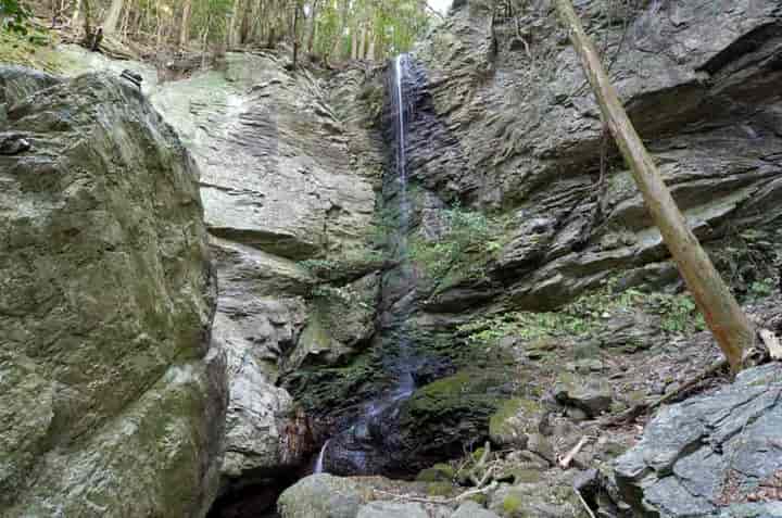 �����̑�